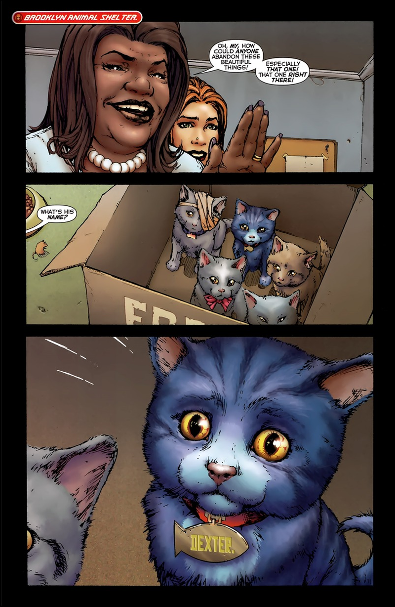 Illustration for article titled A Cat With Lantern Powers? Seriously?
